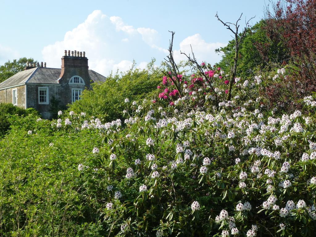 Chipperkyle Country House B&B Kirkpatrick Durham Exteriér fotografie